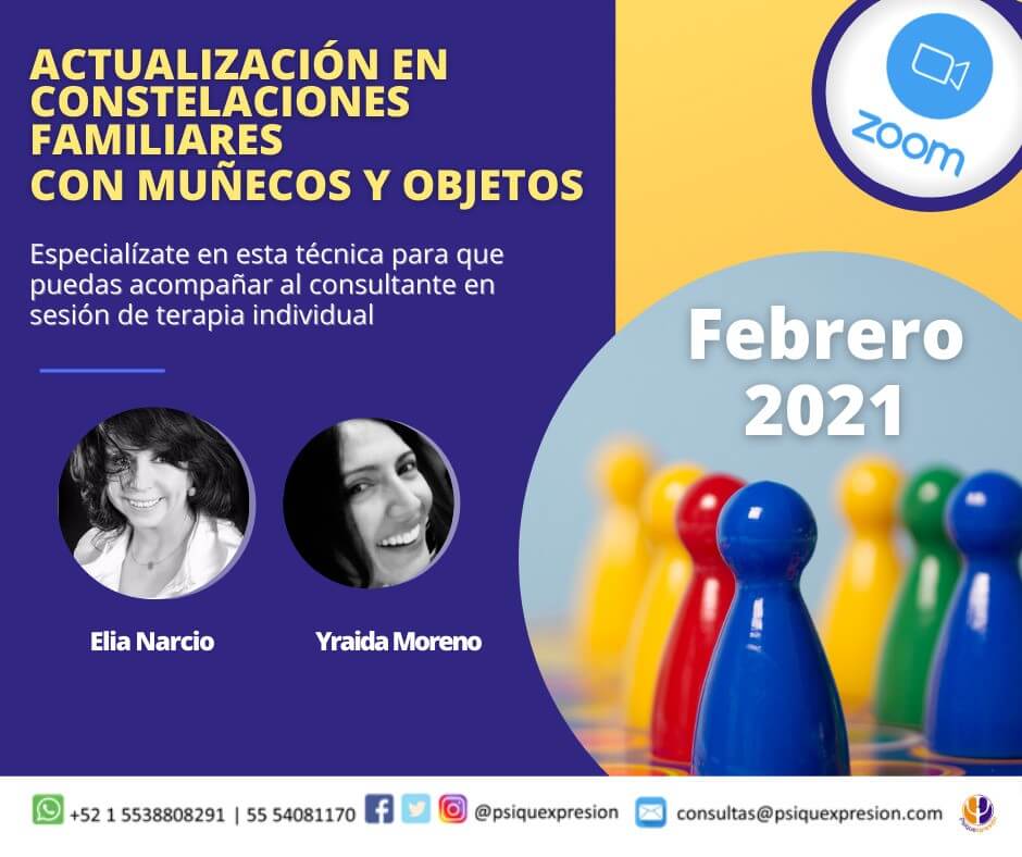 Curso Actualización en Constelaciones Familiares con Muñecos y Objetos