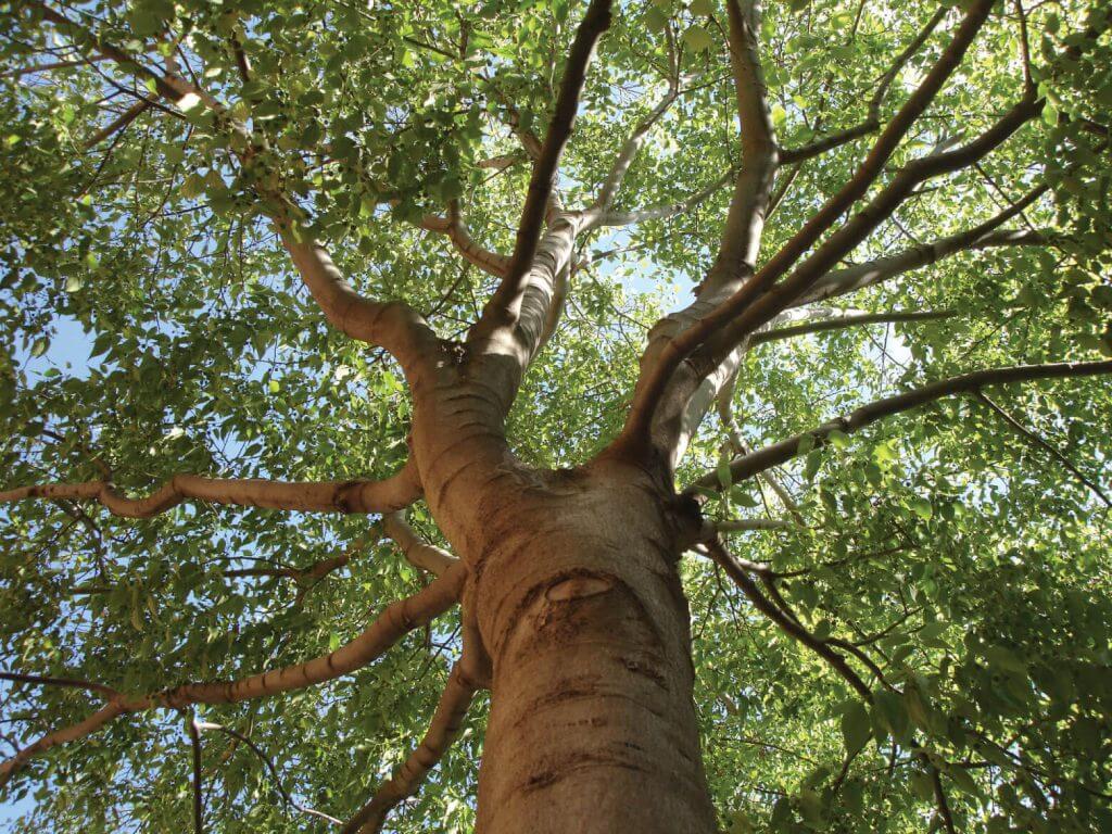 Psiquexpresion-slider-capacitacion